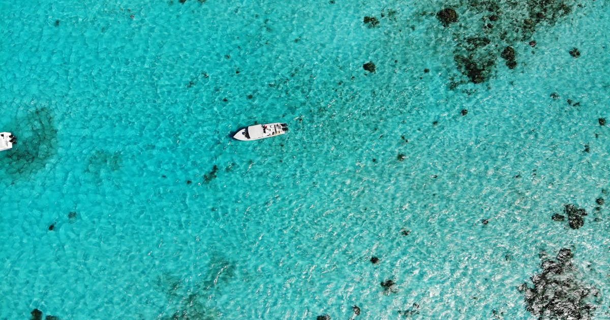 Ambergris Caye vs Placencia for Families: Which is Better?