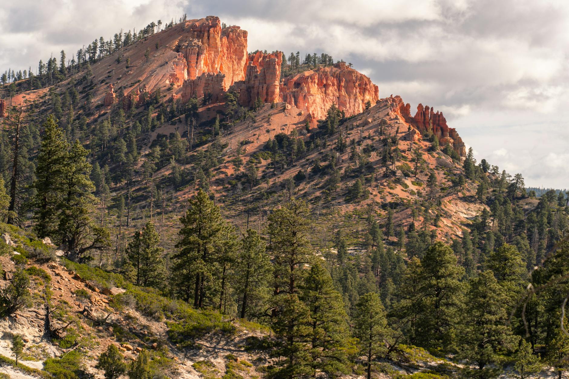 Bryce Canyon Family Guide: Complete Planning Guide for Families with Kids (2025)