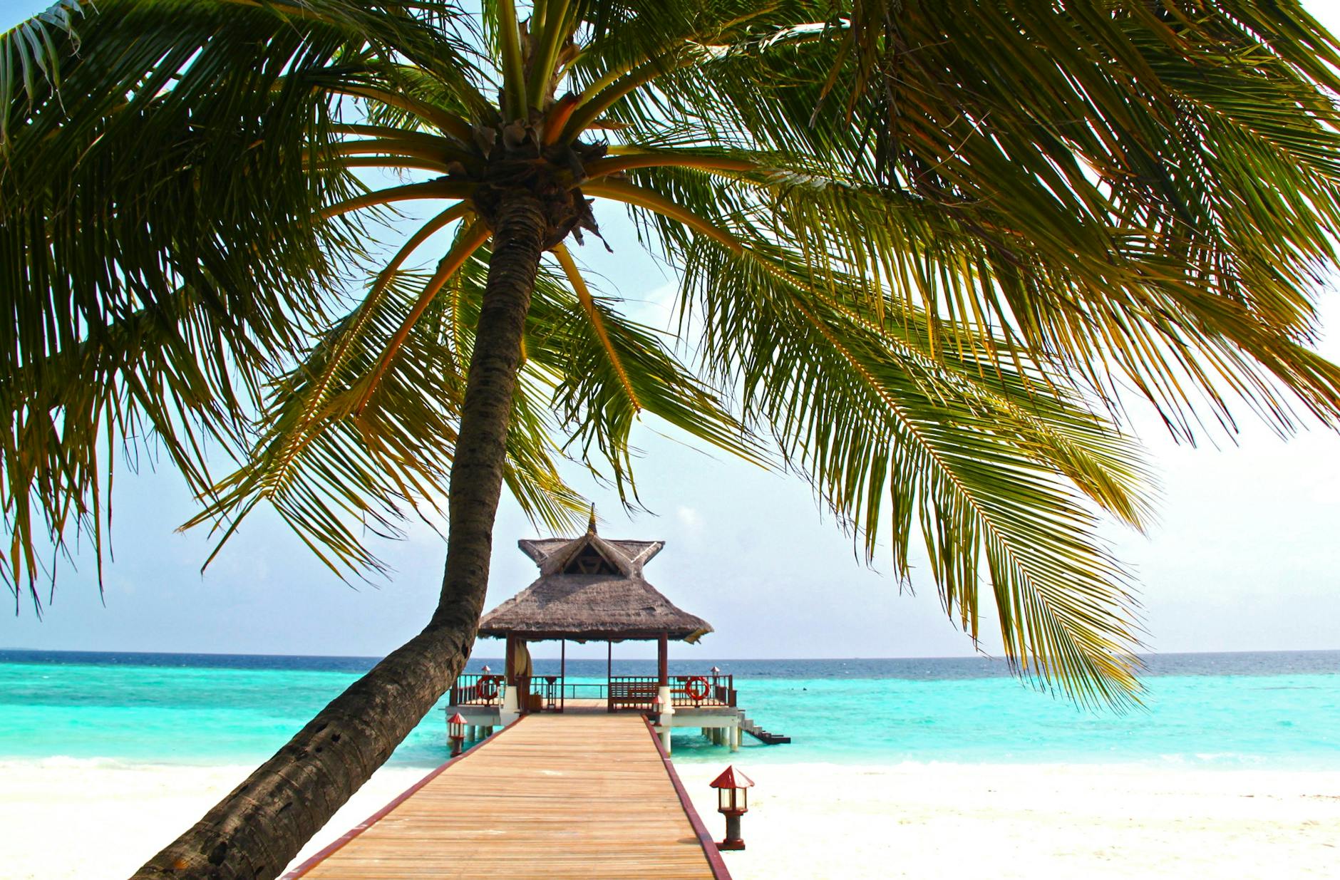 Caribbean pier with palm trees and turquoise water in Belize