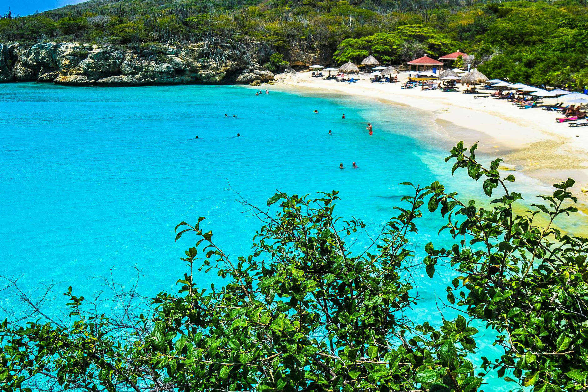 Clear turquoise Caribbean waters and lush green coastline ideal for family snorkeling