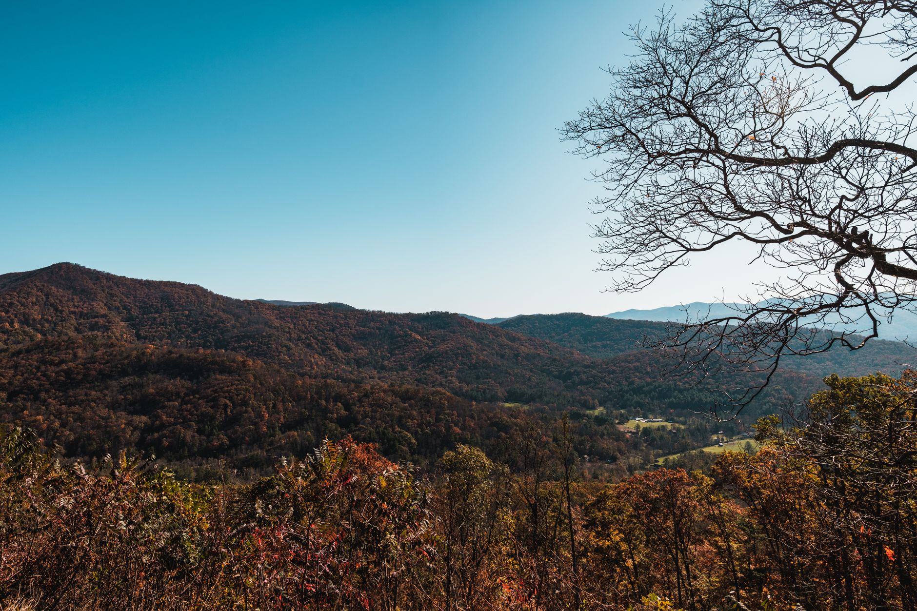 Asheville with Kids: Slower and Better Than the Smokies