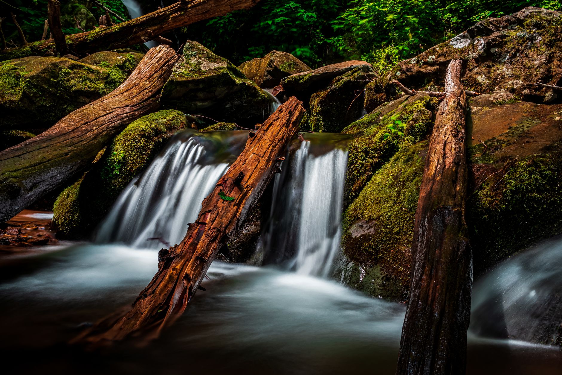 A waterfall over mossy rocks in a forested Appalachian setting &mdash; an easy waterfall-and-trail outing families pair with the Parkway