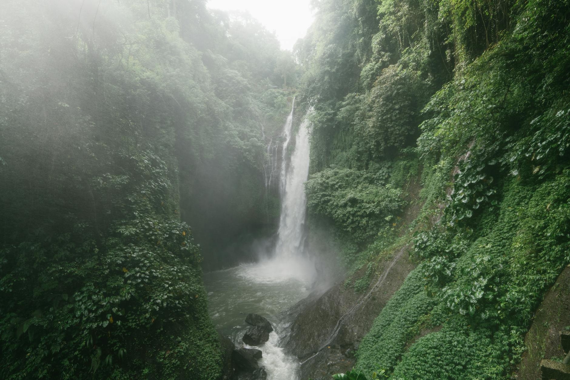 Lush tropical waterfall cascading through green vegetation in Jamaica