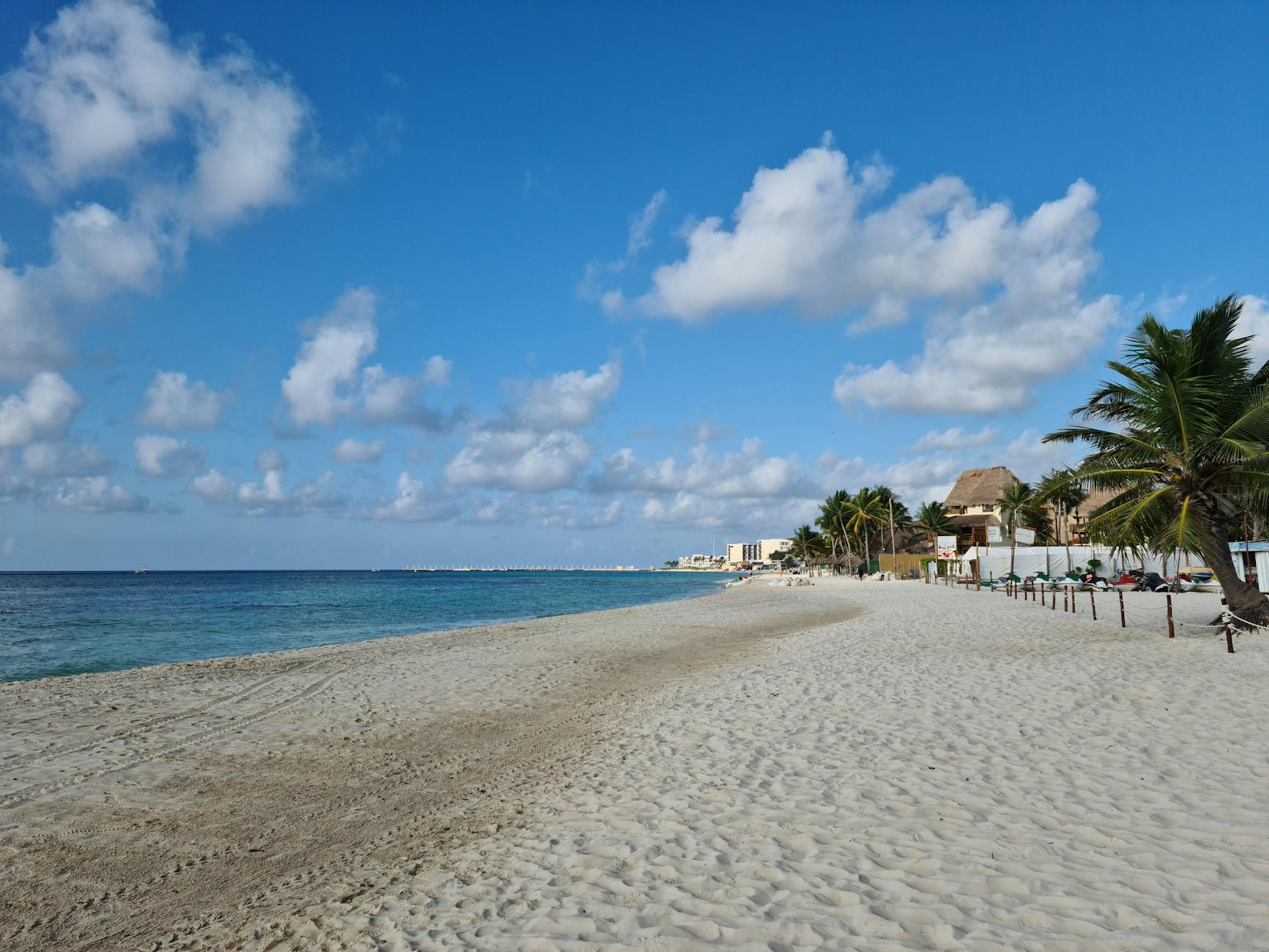 Tropical Caribbean beach with palm trees and turquoise water in Belize