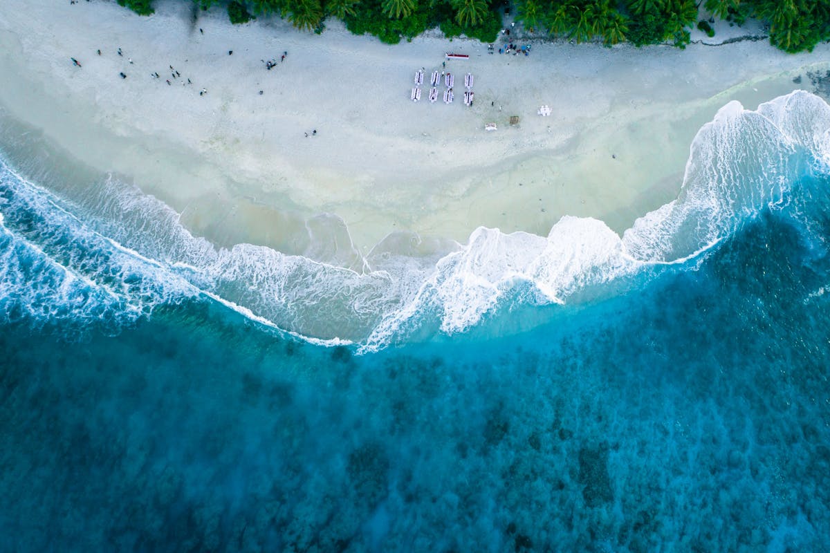 Aerial view of a turquoise Caribbean shoreline with swimmers and palm trees