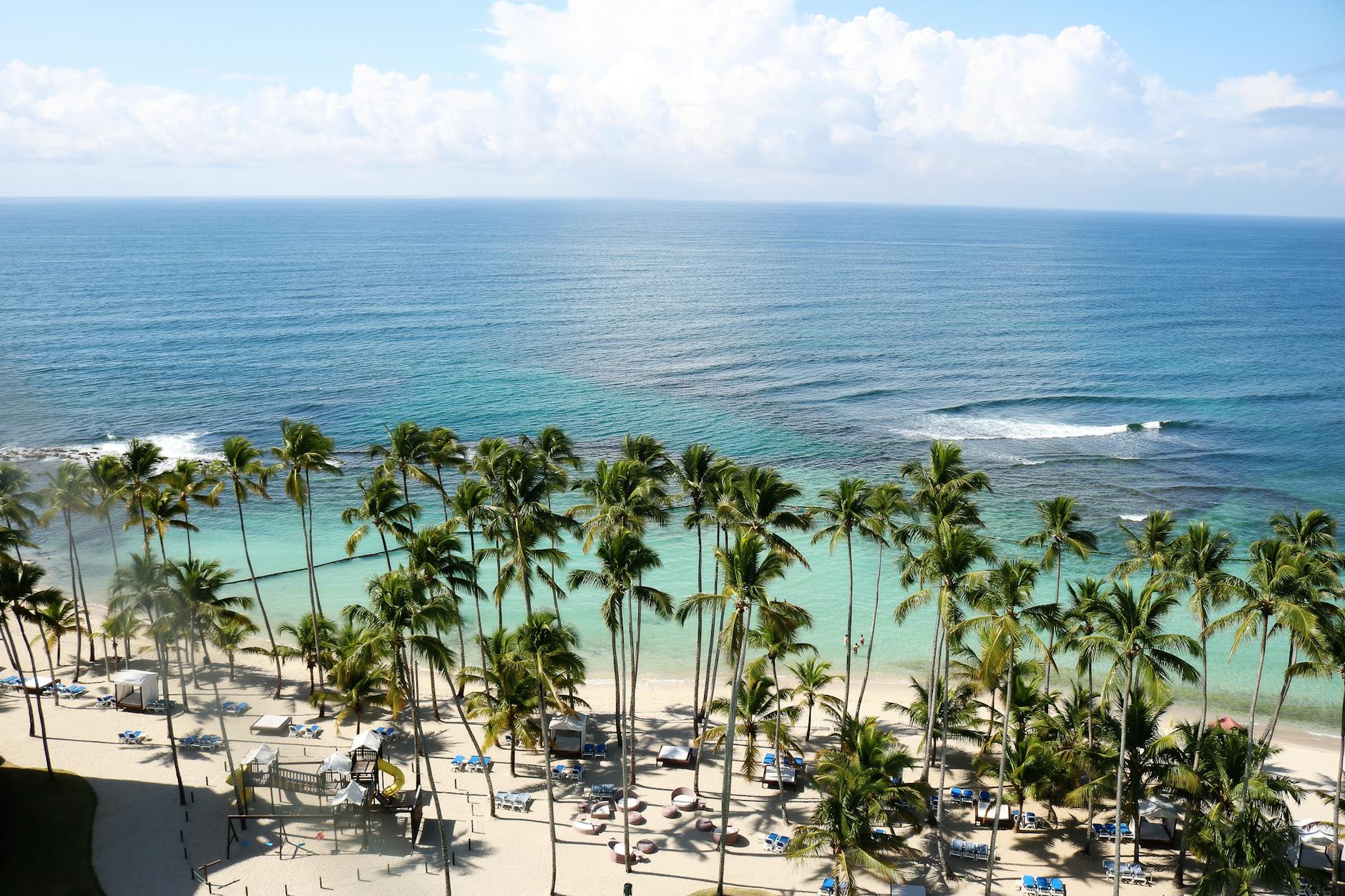 Palm trees lining a Caribbean beach with turquoise water in Jamaica