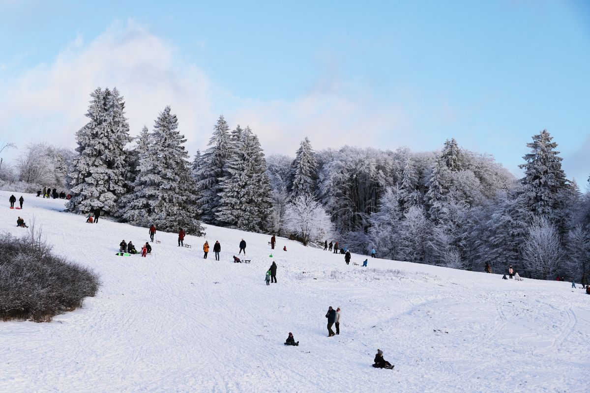 Families sledding down a snowy hillside with frosted pine trees, a budget snow-Christmas family trip