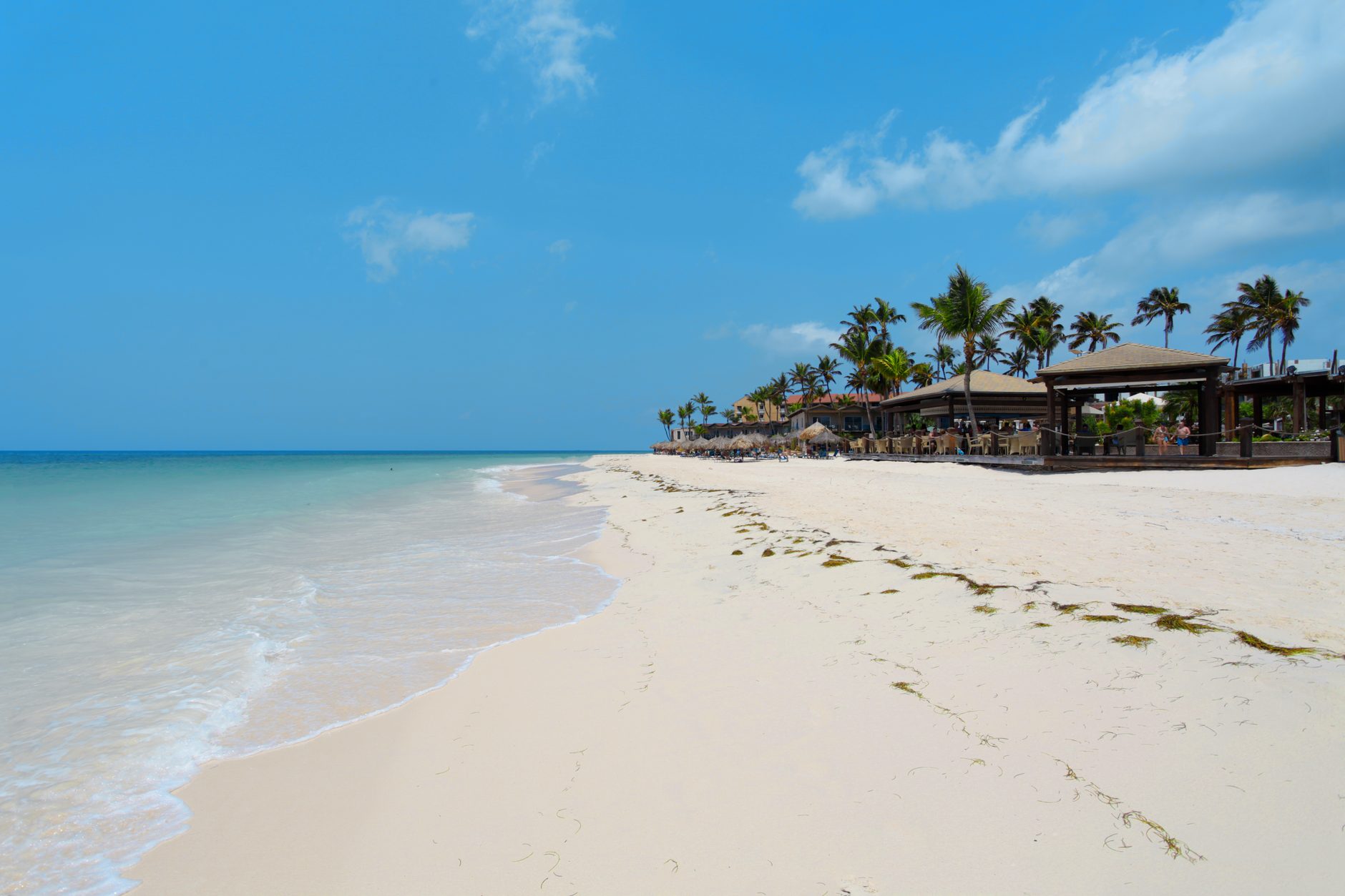 Best Family Resorts in Aruba: 7 Picks by Price (2026)