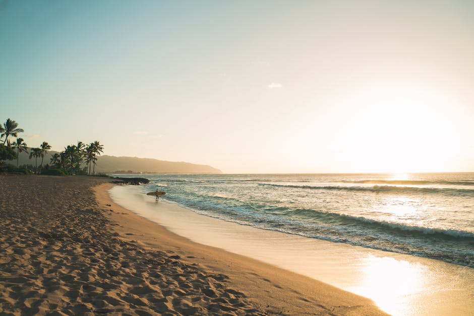 Tropical Hawaiian beach at dawn with golden light reflecting on calm ocean waves