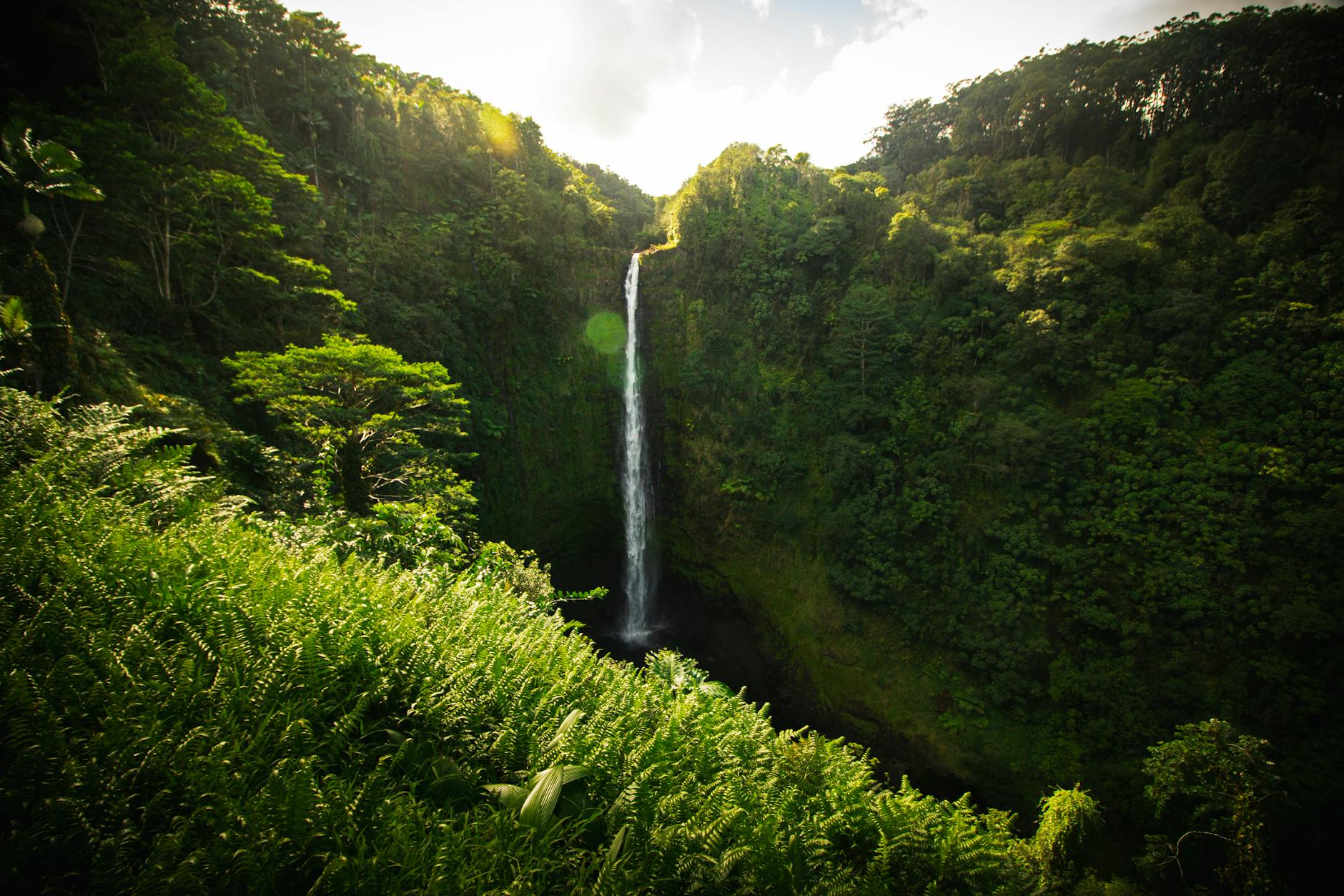 Akaka Falls in Hawaii surrounded by lush tropical greenery &mdash; the Hilo-side waterfall scene that completes the Big Island's volcano-and-rainforest dual character