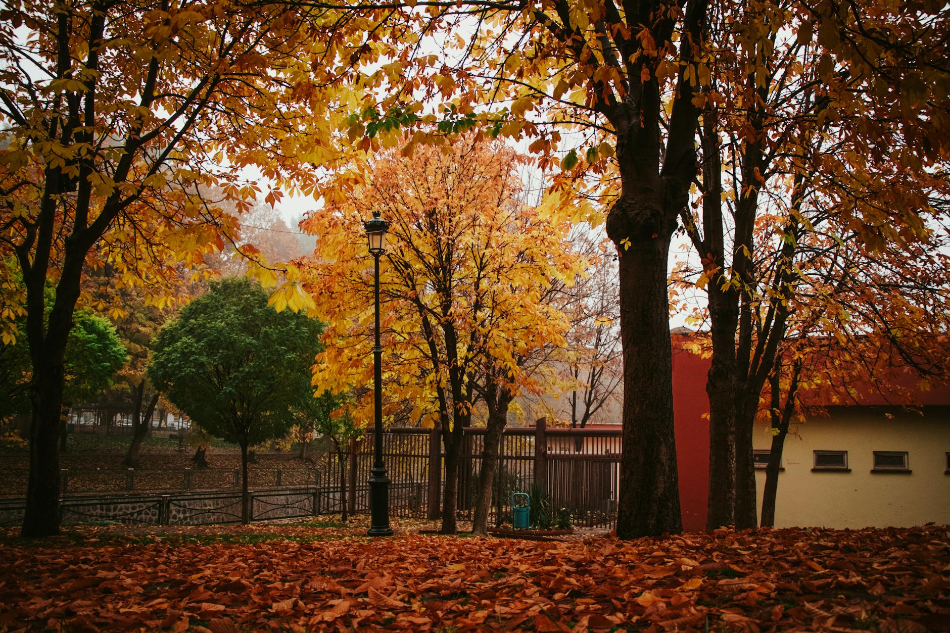 Autumn park scene with golden leaves and classic lamp post in Boston