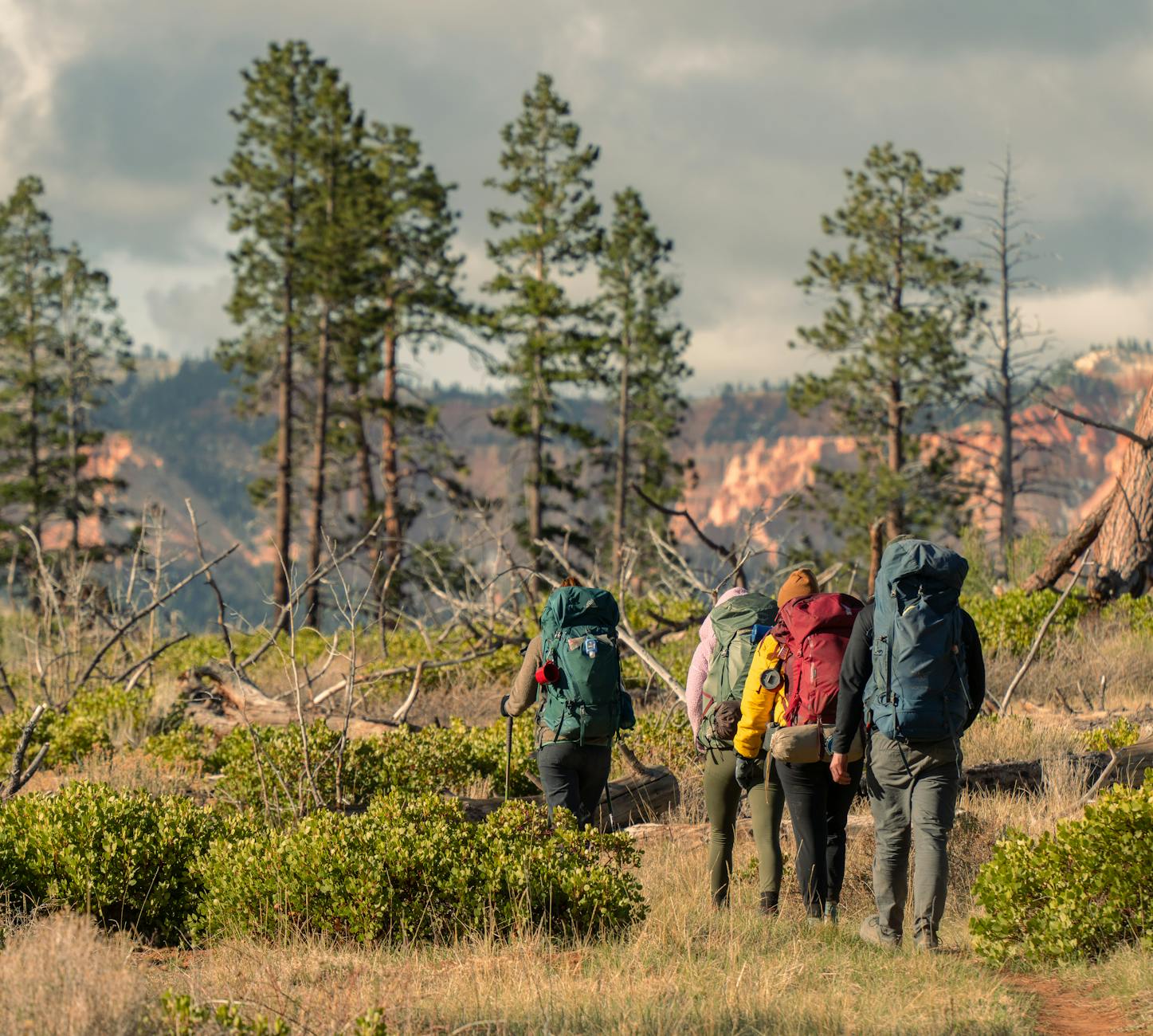 Stunning sunrise over Bryce Canyon's hoodoos showcasing vibrant unique rock formations
