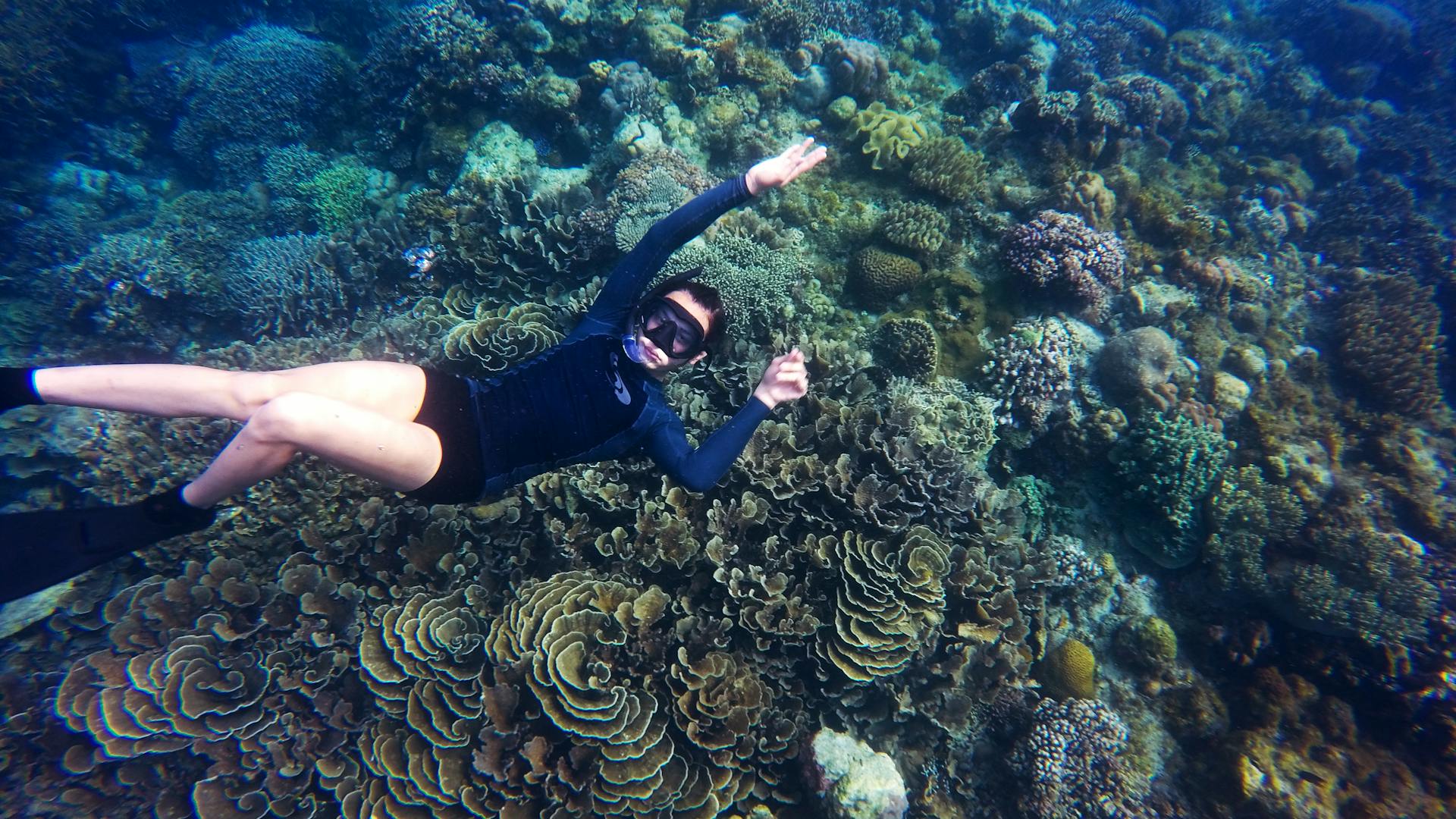 Cairns vs Gold Coast with Kids: Reef vs Theme Parks