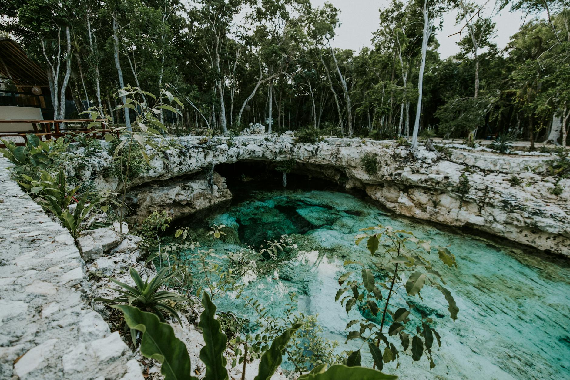 Cenote with crystal-clear turquoise water surrounded by lush greenery &mdash; Riviera Maya's signature freshwater swimming experience