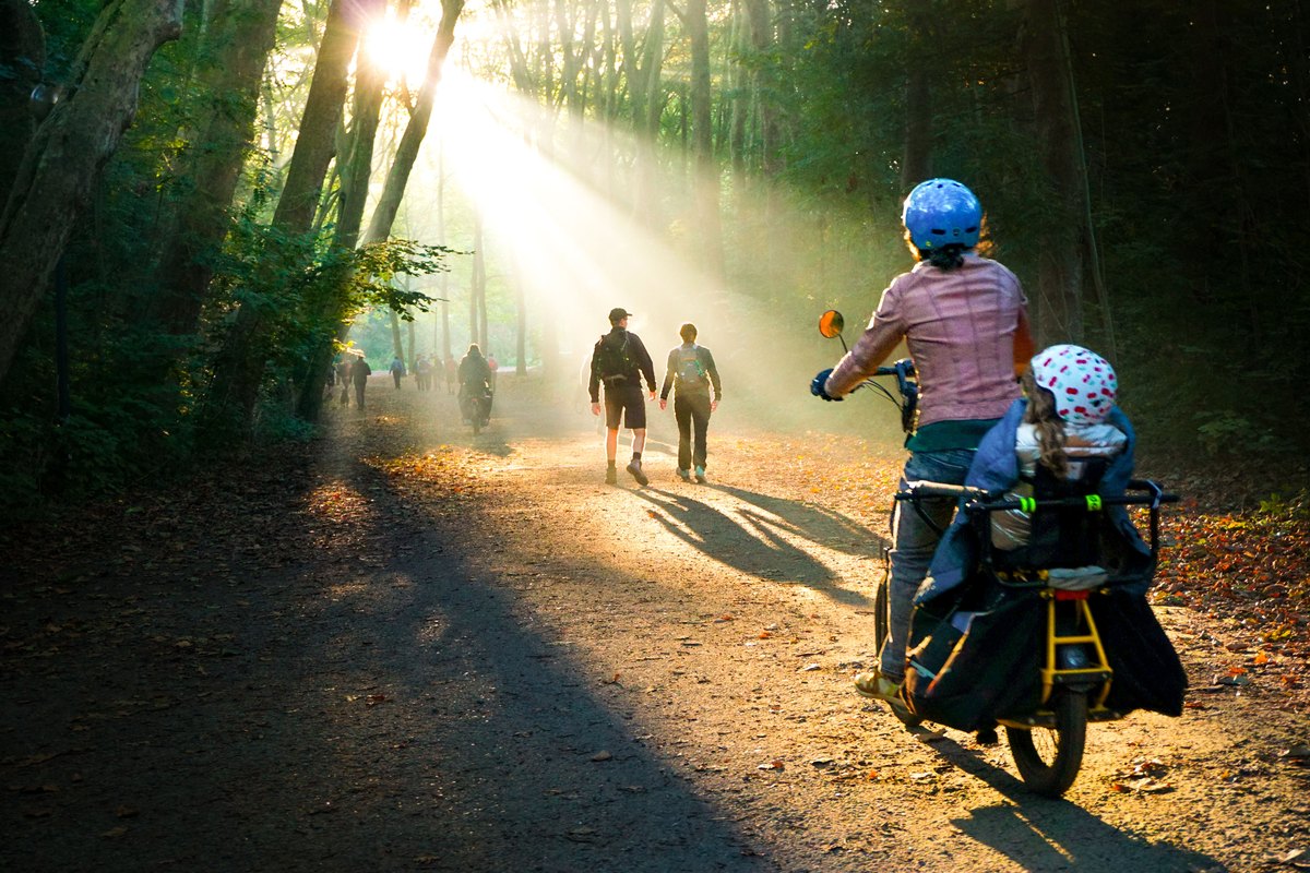 Adult cycling with a child seat along a sunlit forest track, the daily transport at a Center Parcs village