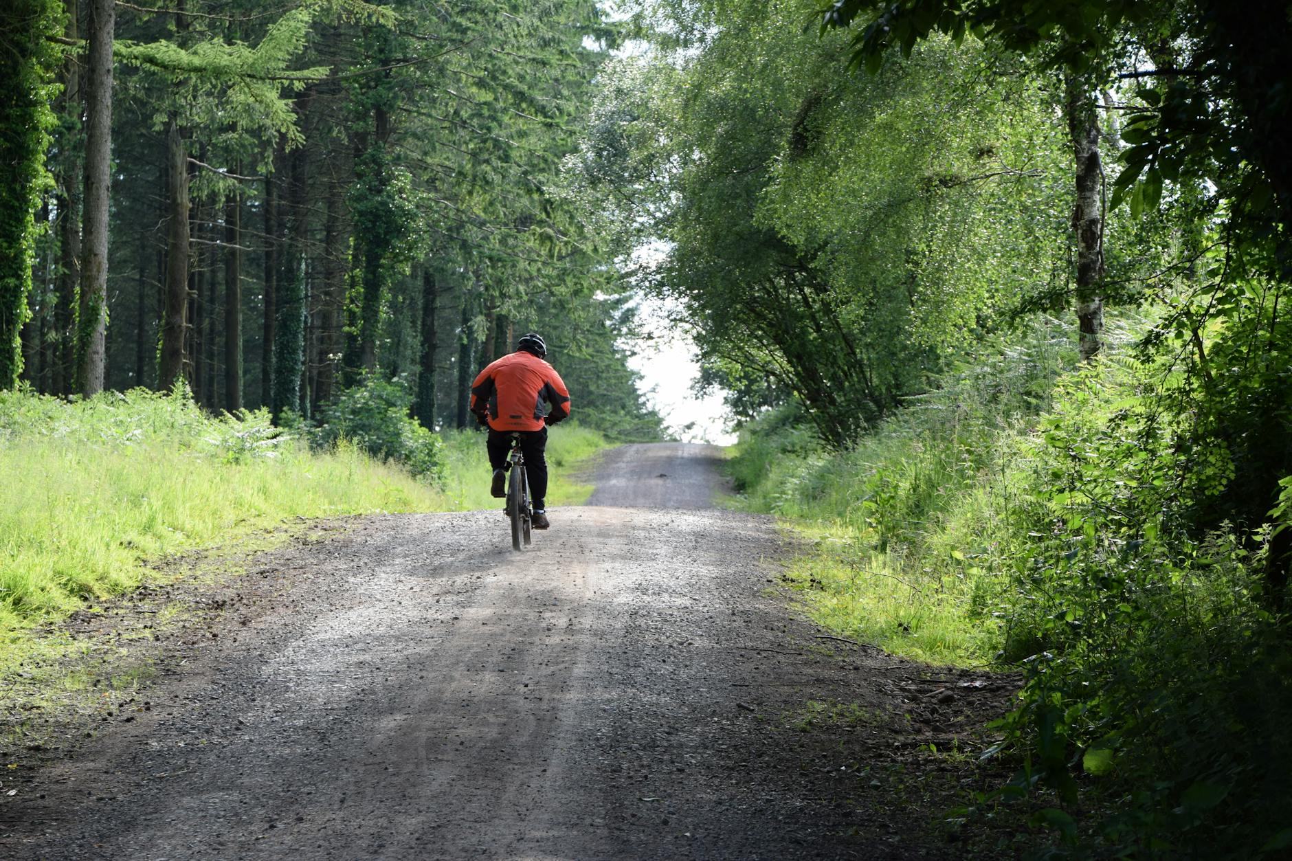 Cyclist riding through a green forest trail on a sunny day