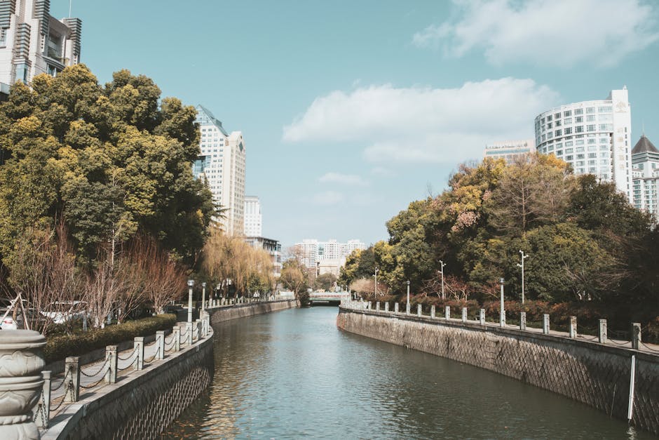 Chicago Riverwalk with trees and skyscrapers along the waterfront