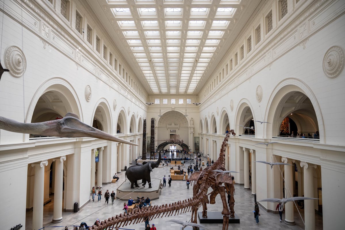 Dinosaur skeletons at Field Museum Chicago - top family attraction
