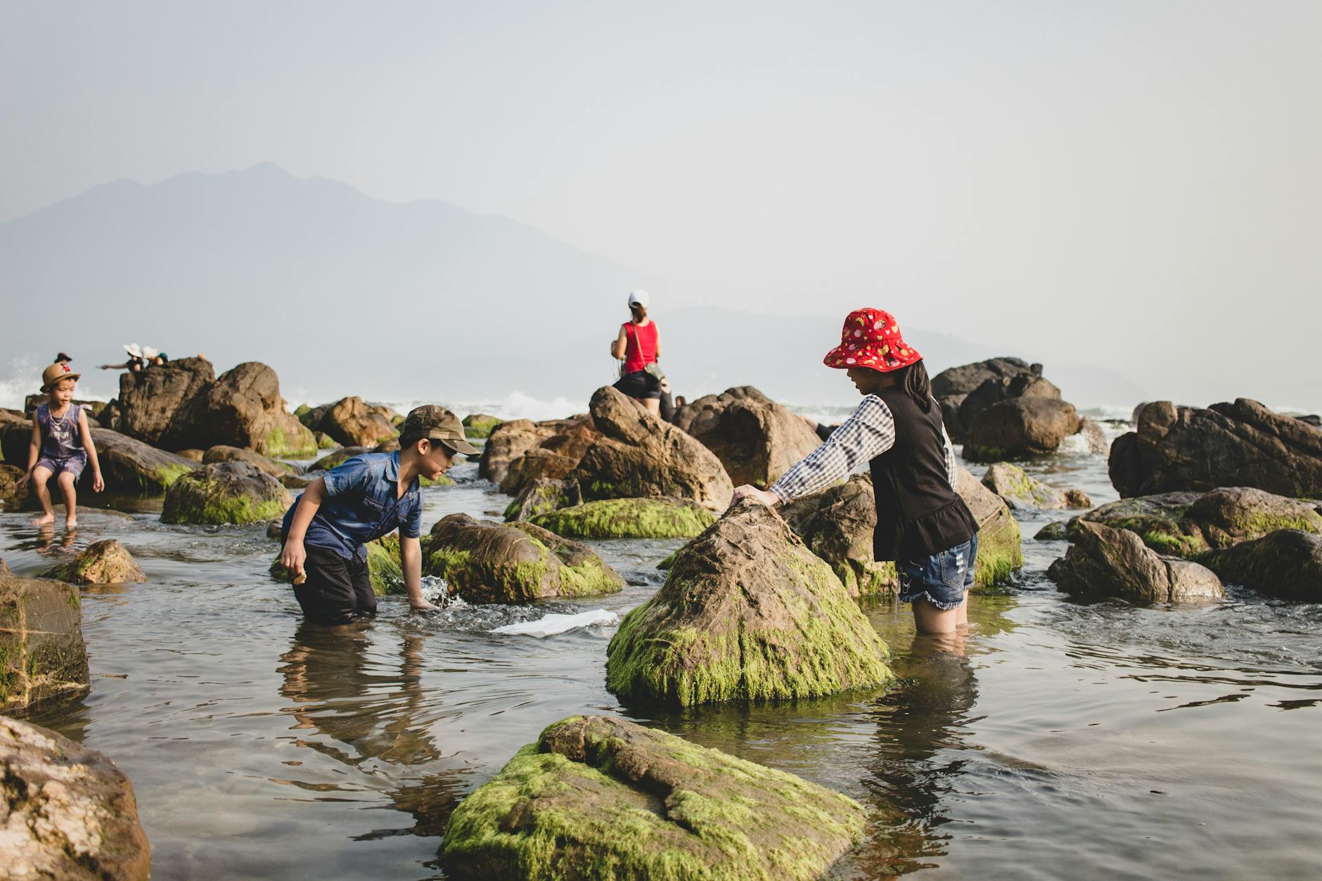 Children exploring mossy rocks on a seashore during a sunny family outing