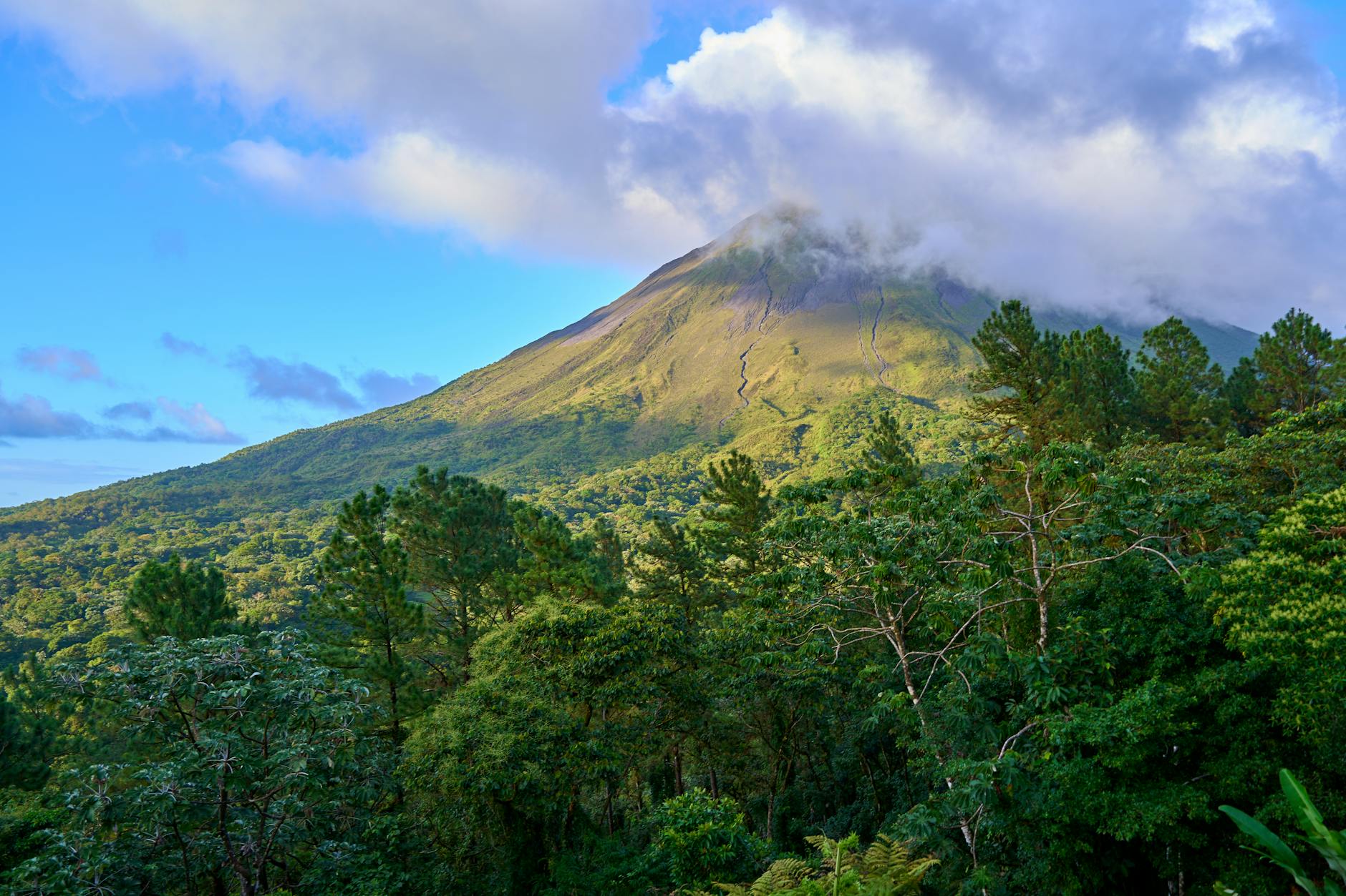 Costa Rica 10-Day Family Itinerary (2026 Prices)