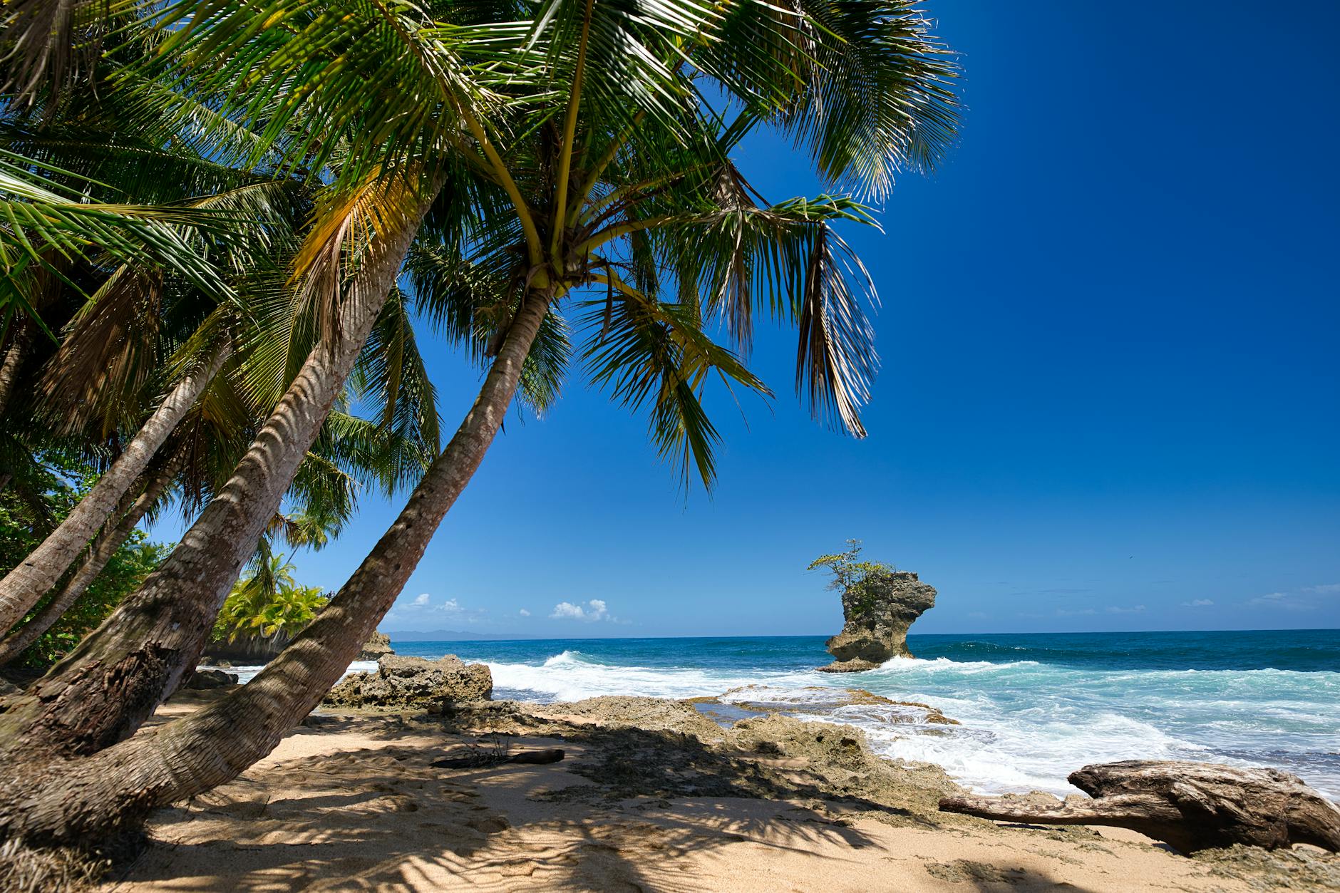 Tropical Costa Rica beach with palm trees and rock formations along the coastline