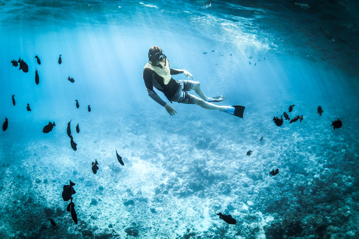 Snorkeling in clear tropical ocean water