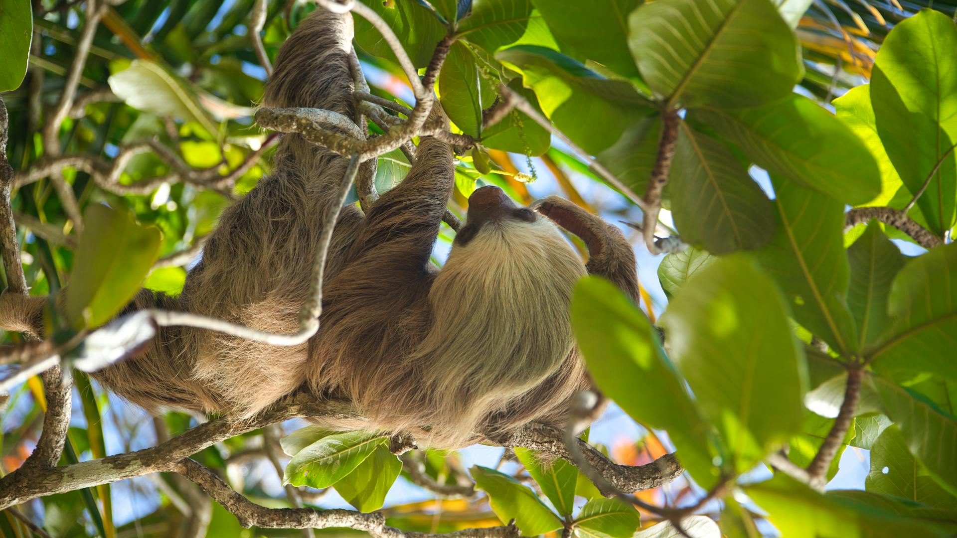 Costa Rica vs Mexico for Families: Full Breakdown
