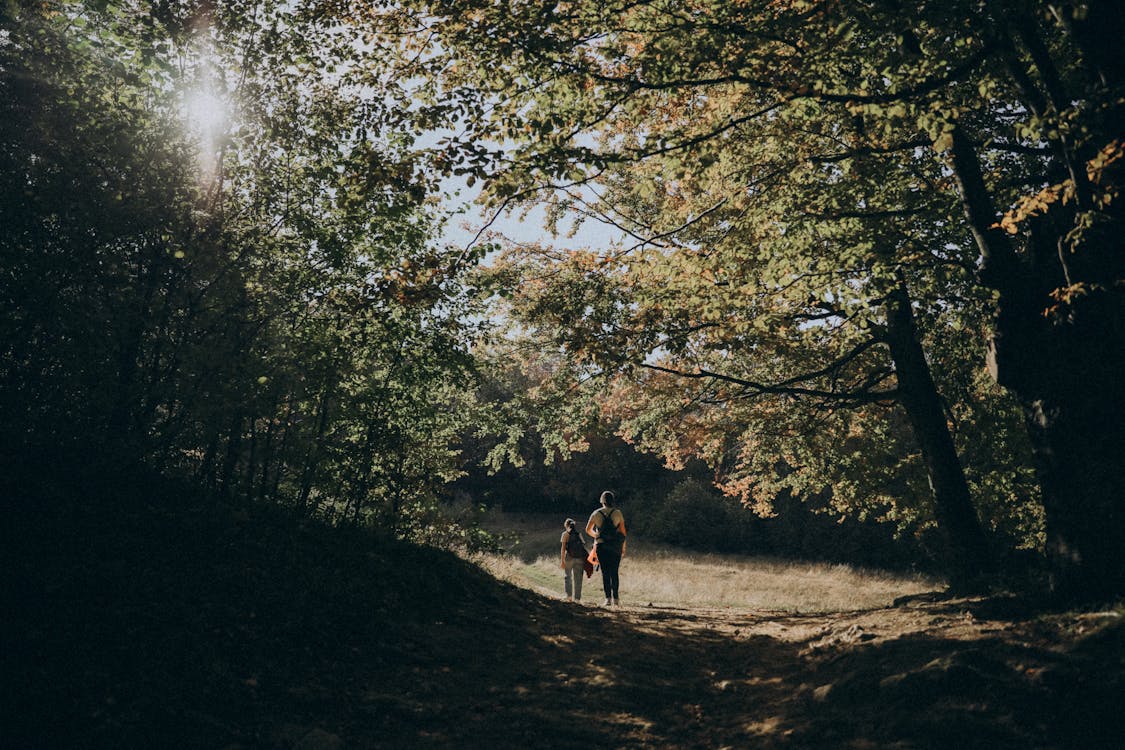 Family hiking through autumn forest - digital detox in nature