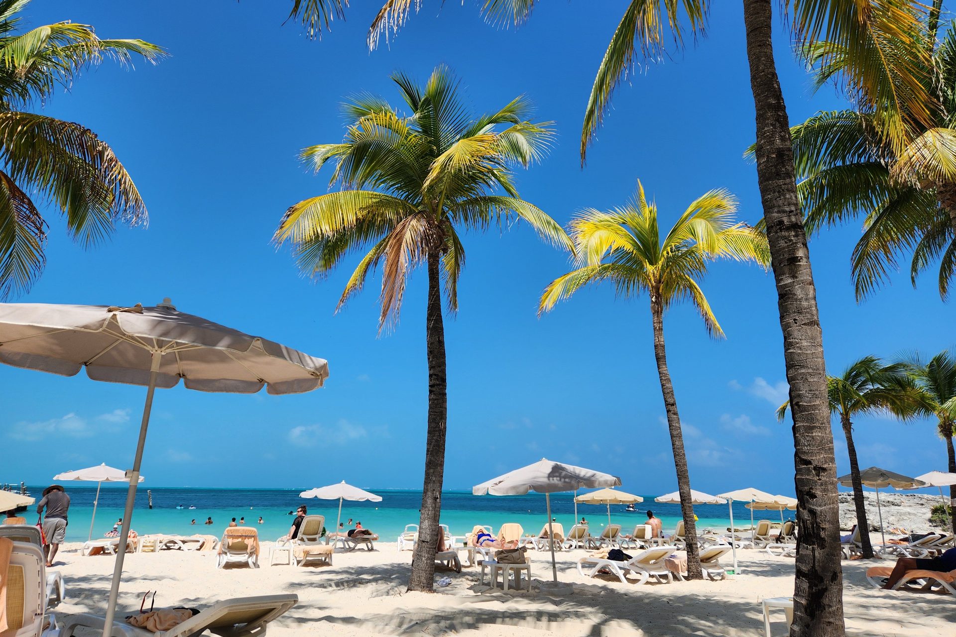 Beach loungers and umbrellas under palms beside turquoise water on an island beach day