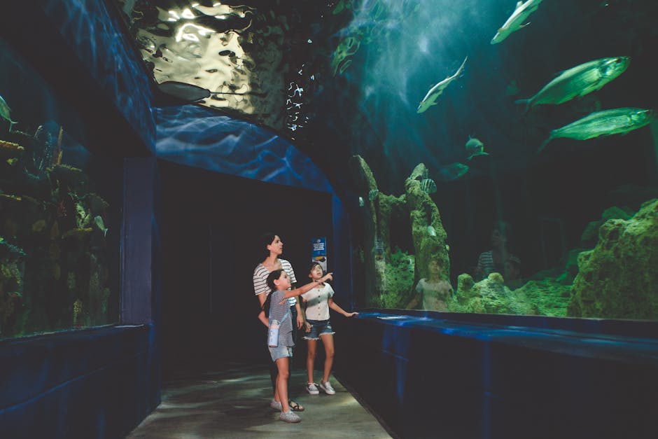 Family walking through a large aquarium exhibit watching marine life