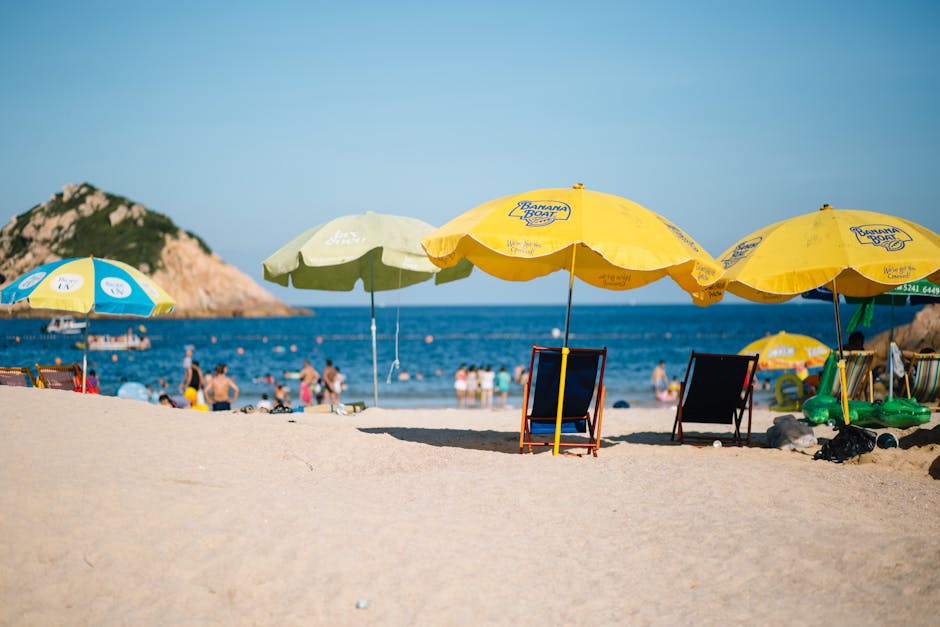 Beach chairs and umbrellas set up along the shoreline for a family vacation day