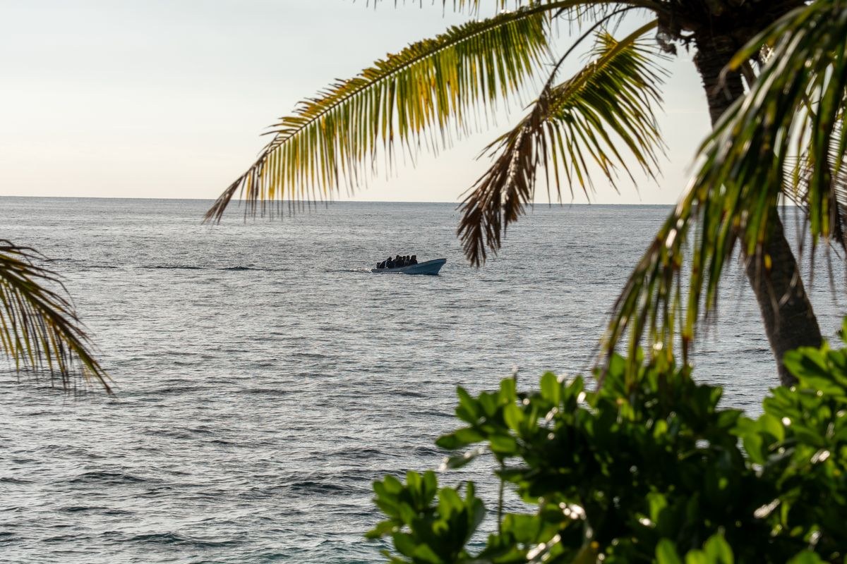 Palm fronds over open sea with a small boat offshore in Fiji