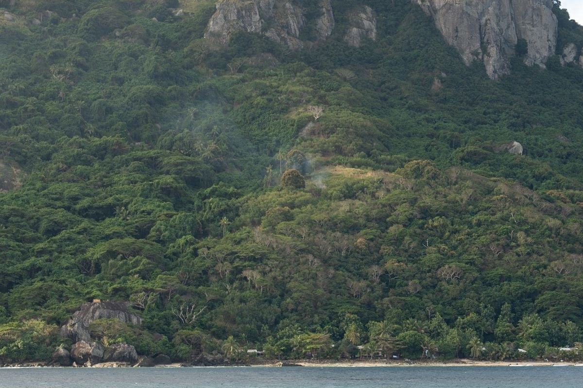 Forested Fiji hillside under a rocky peak with a narrow beach below