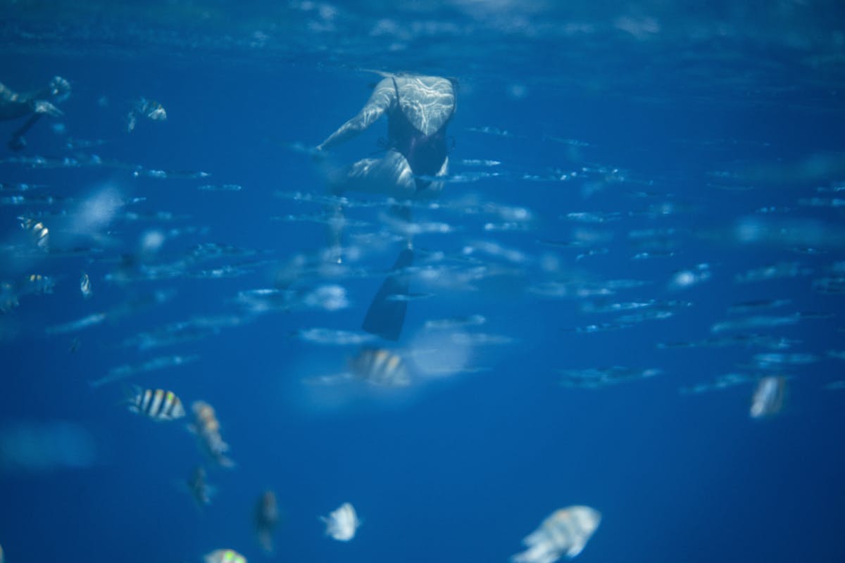 Underwater snorkeling view of coral reef near Fort Lauderdale