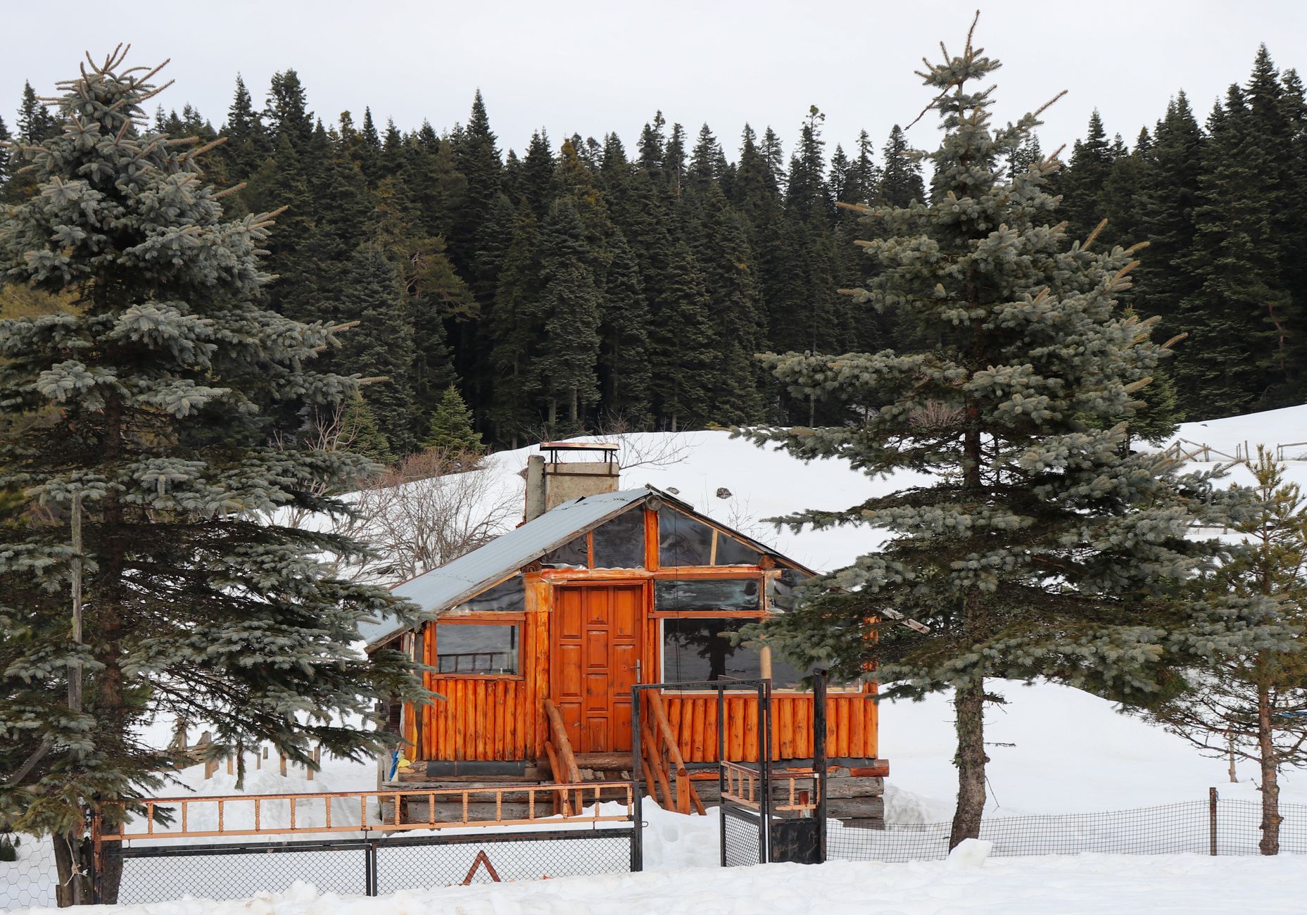 Rustic log cabin surrounded by snow and evergreen trees on a winter day in the mountains