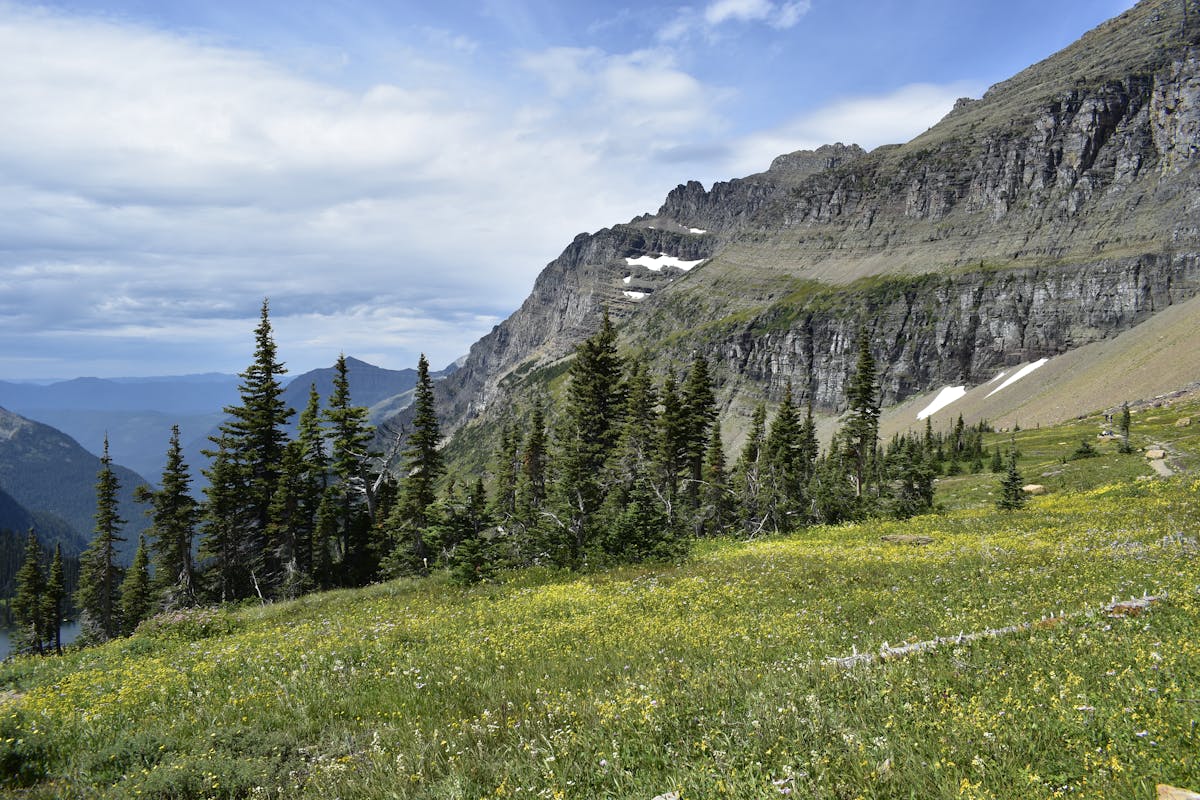 Montana mountain meadow scenery near Glacier National Park