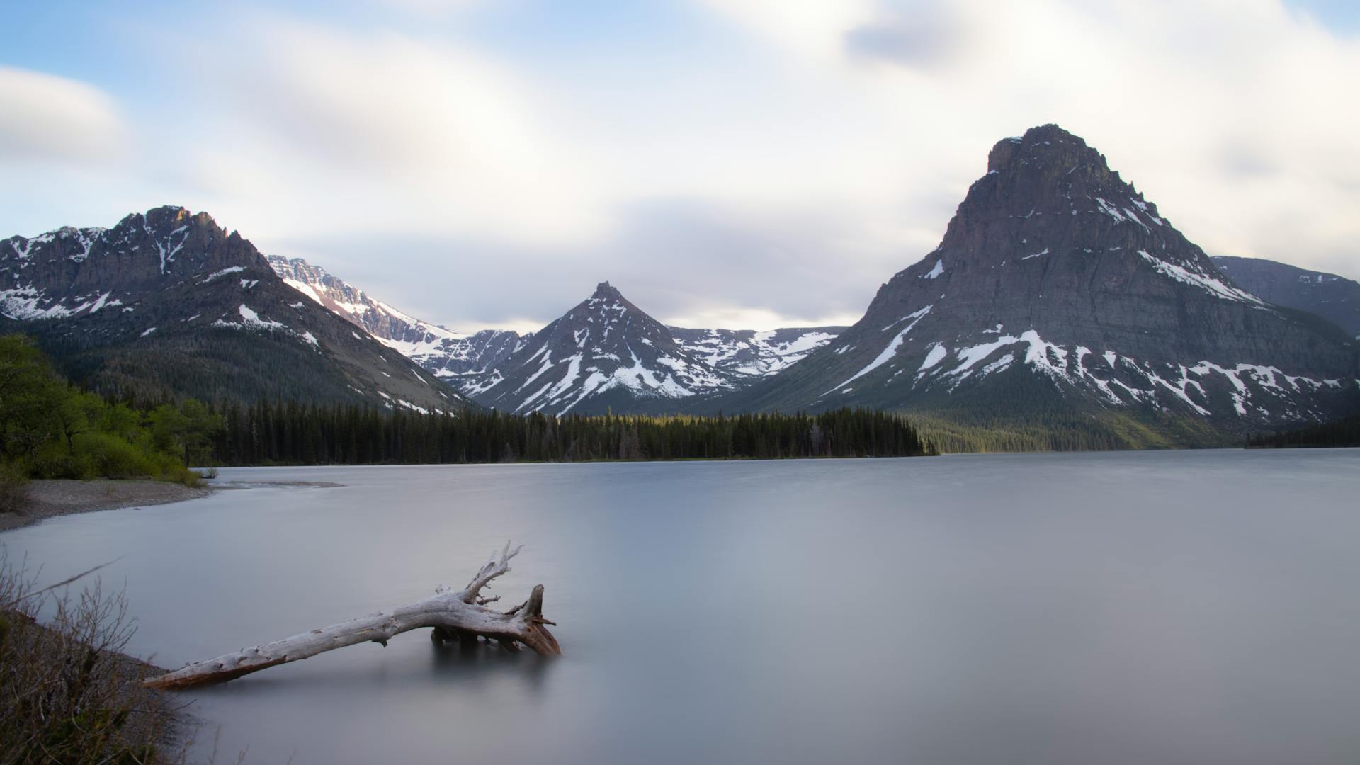 Glacier National Park Wildlife Viewing Guide