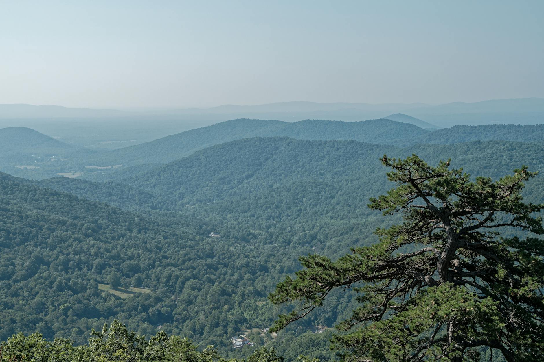 Green mountain ridges and misty valleys along Skyline Drive in Shenandoah National Park