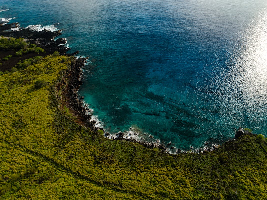 Scenic Hawaiian coastline with lush green cliffs