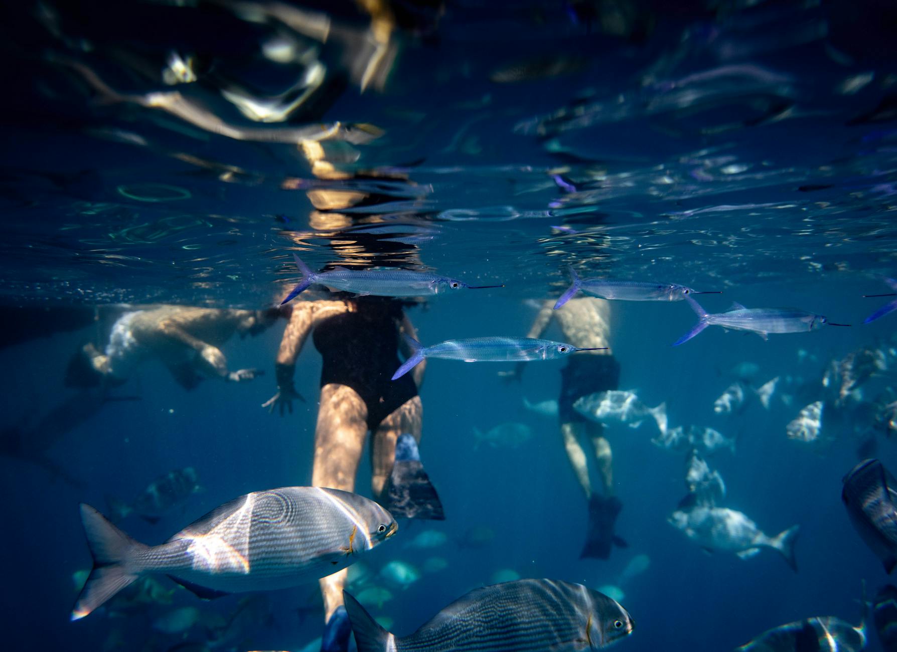 Snorkelers exploring marine life in clear Hawaiian waters surrounded by tropical fish