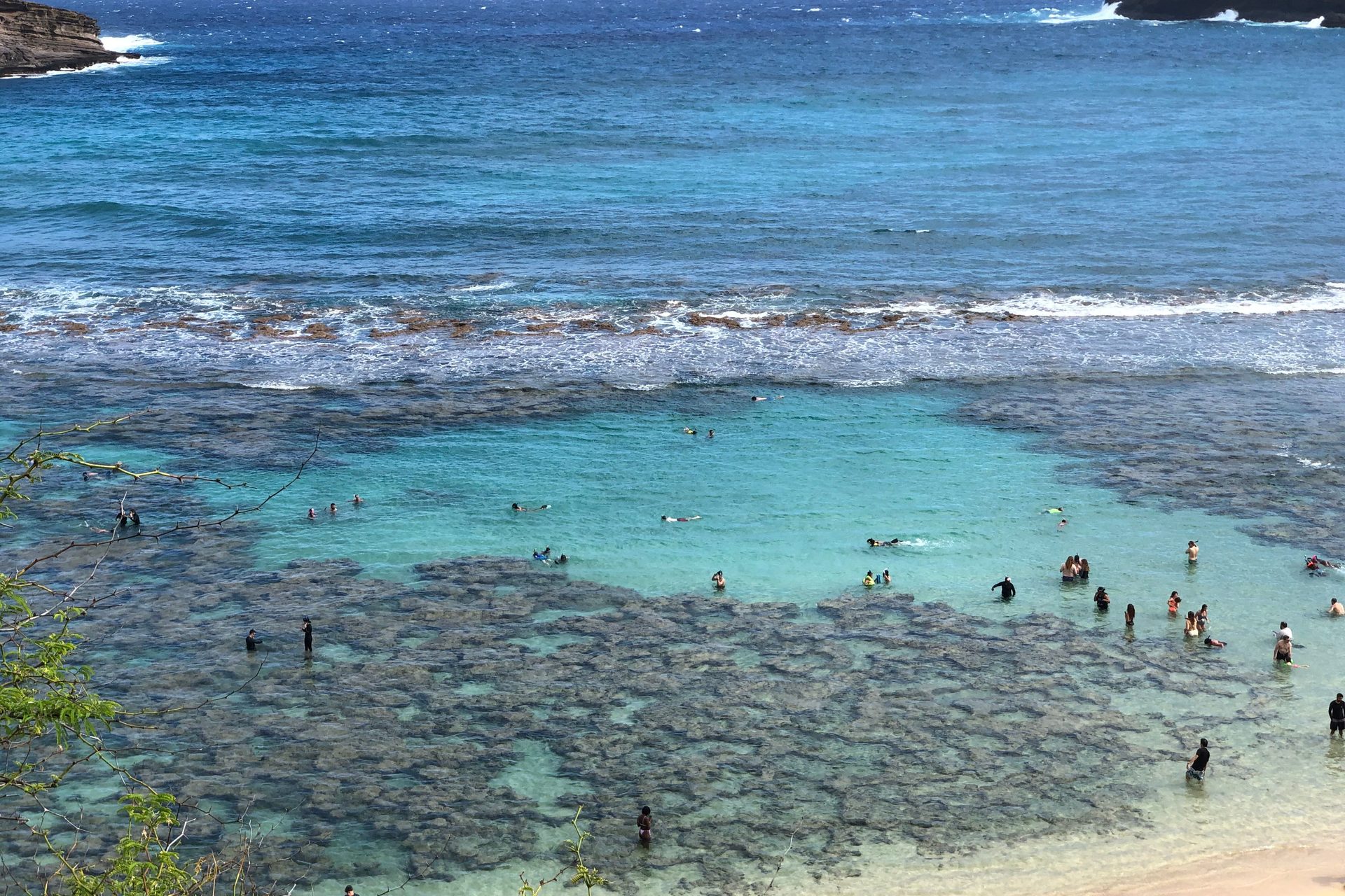 Swimmers in the turquoise water of Hanauma Bay on Oahu, the reef day children 12 and under enter free