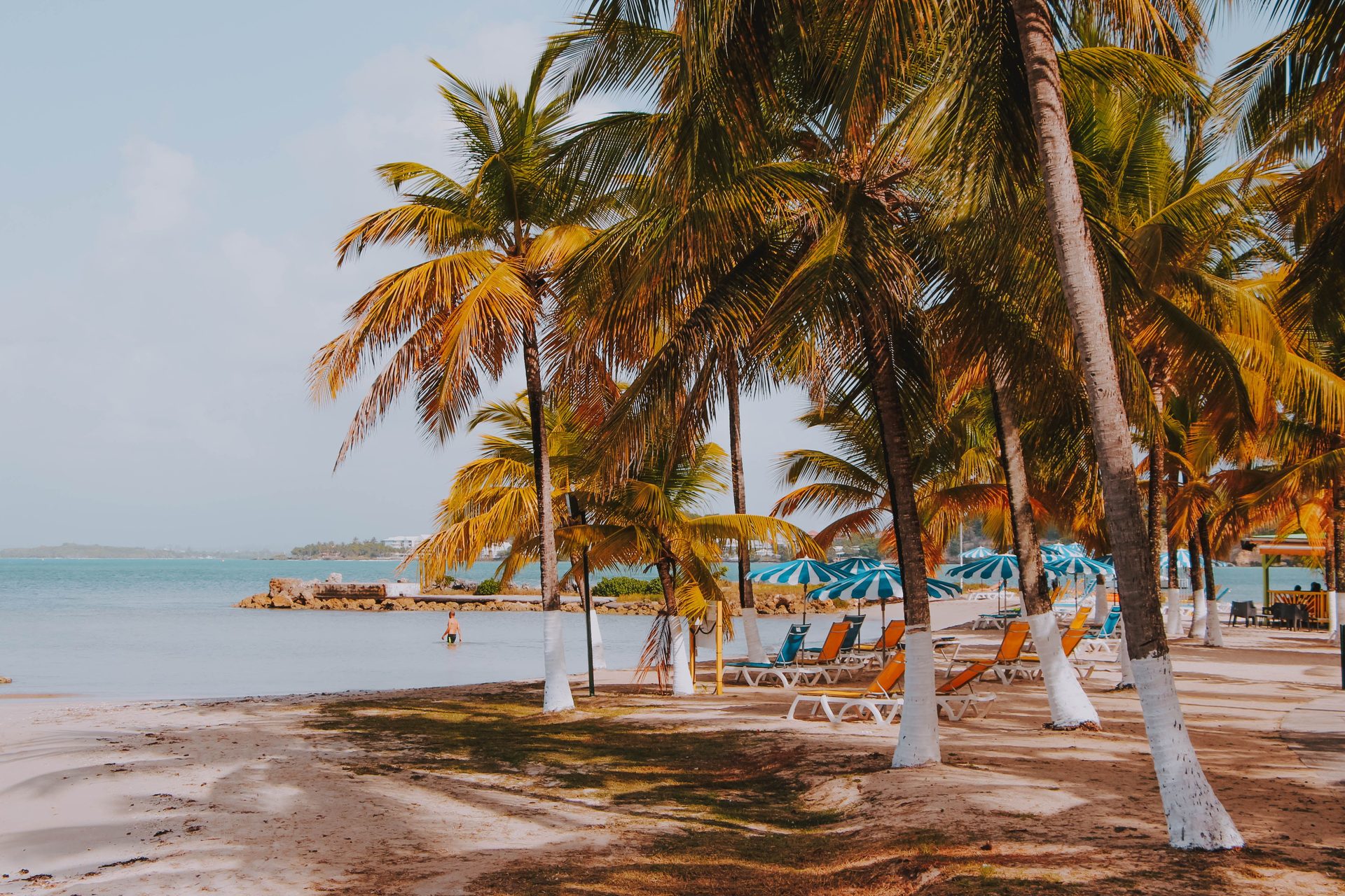 Sun loungers and umbrellas under palm trees on a Caribbean beach