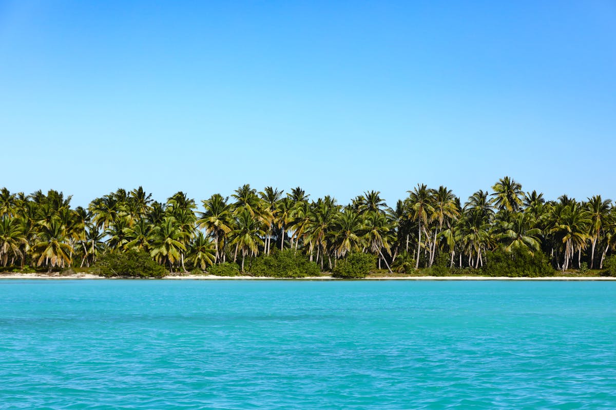 Tropical island with palm trees along turquoise Caribbean waters, similar to Disney Castaway Cay