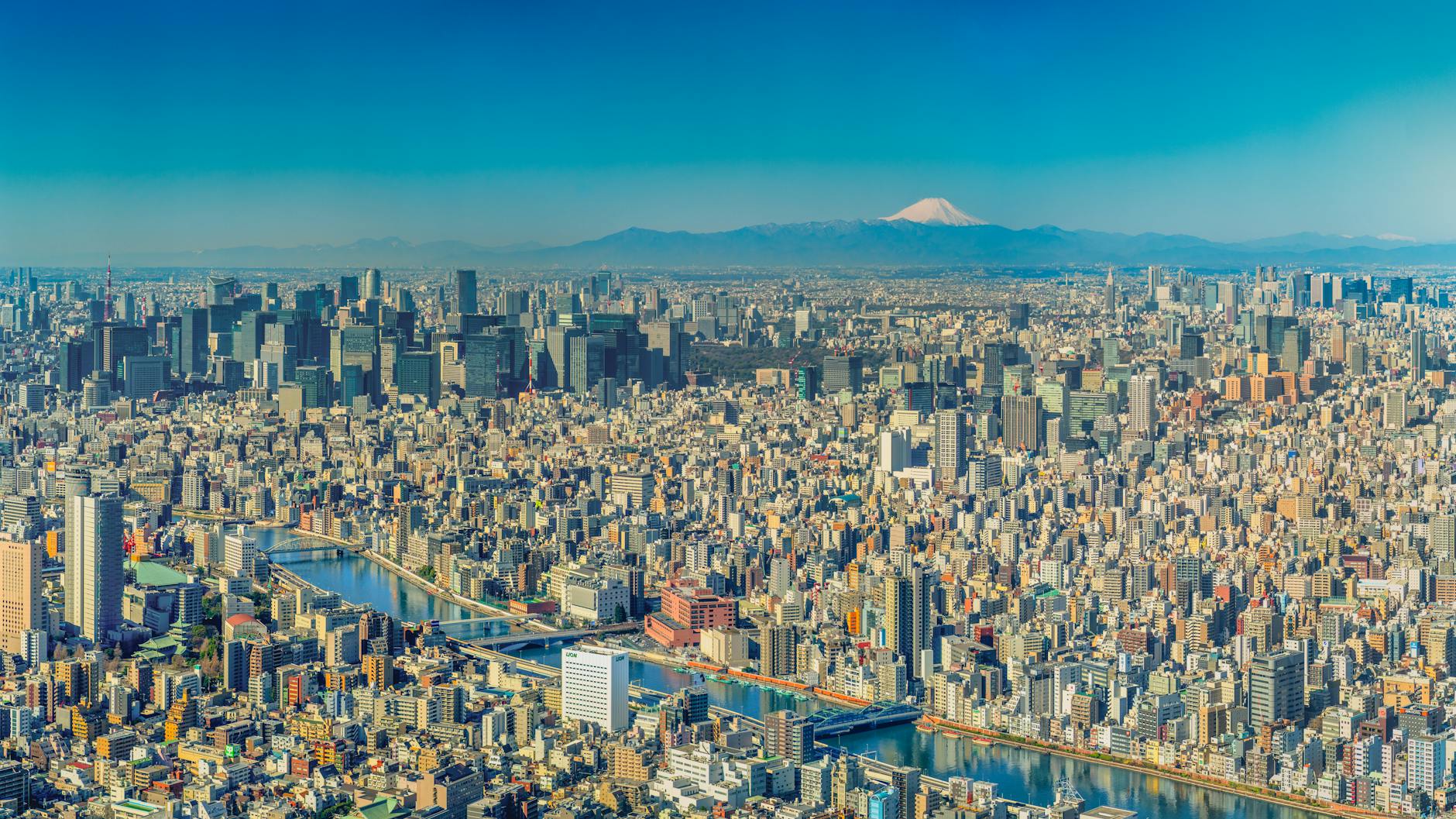 Panoramic view of Tokyo cityscape with Mount Fuji in the distance