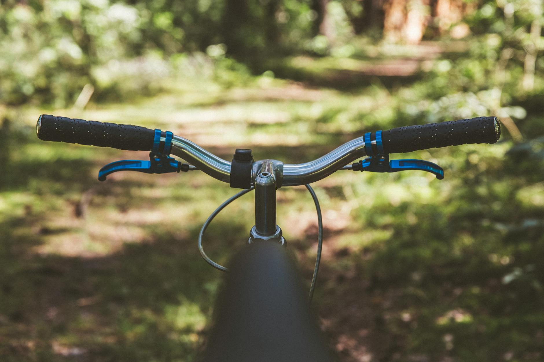 Bicycle handlebars on a forest trail in a UK national park