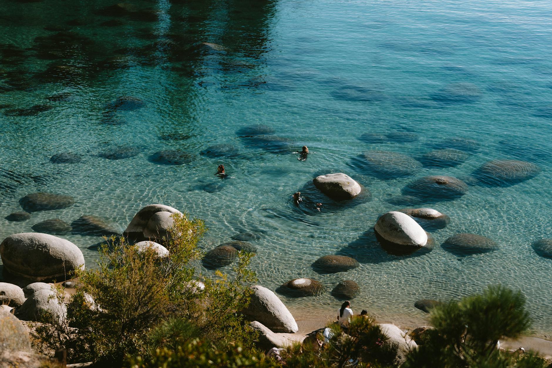 Pine tree-lined hiking trail near Lake Tahoe with mountain scenery in background