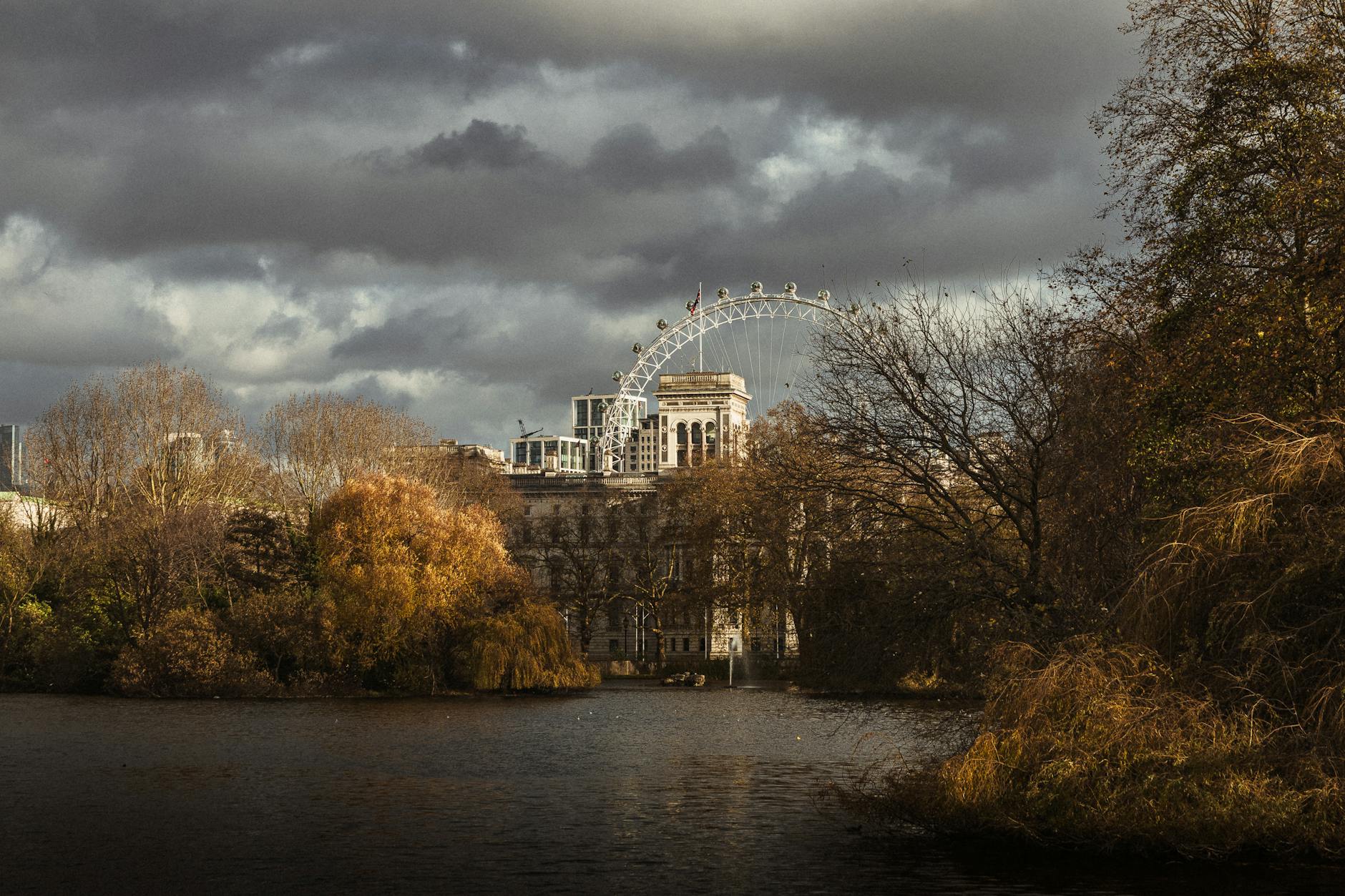 London Eye and city skyline viewed through autumn trees along the Thames