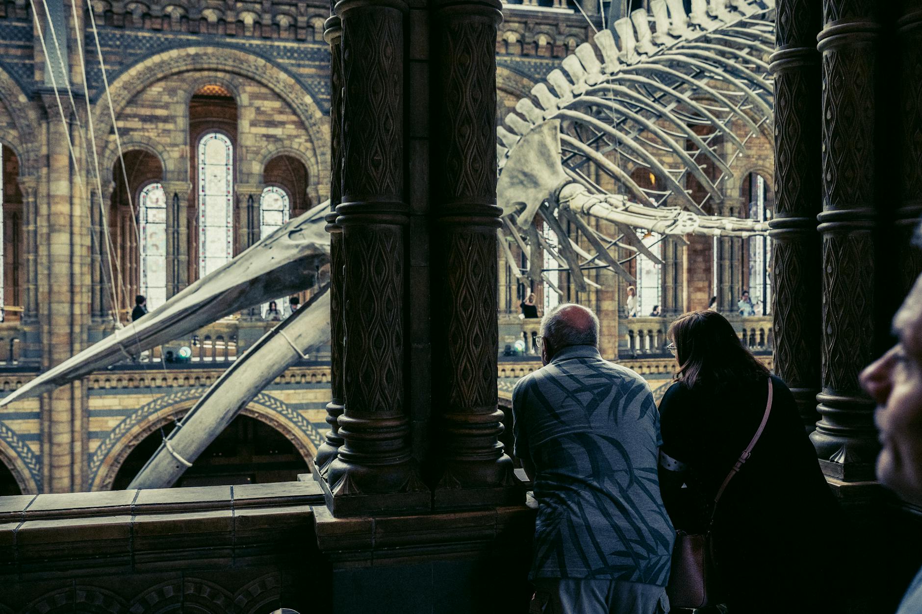 Visitors viewing the suspended blue whale skeleton inside London's Natural History Museum