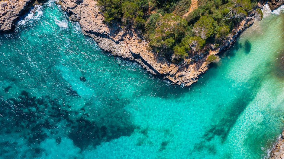 Majorca coastal town with turquoise bay and pine-topped cliffs on a family holiday