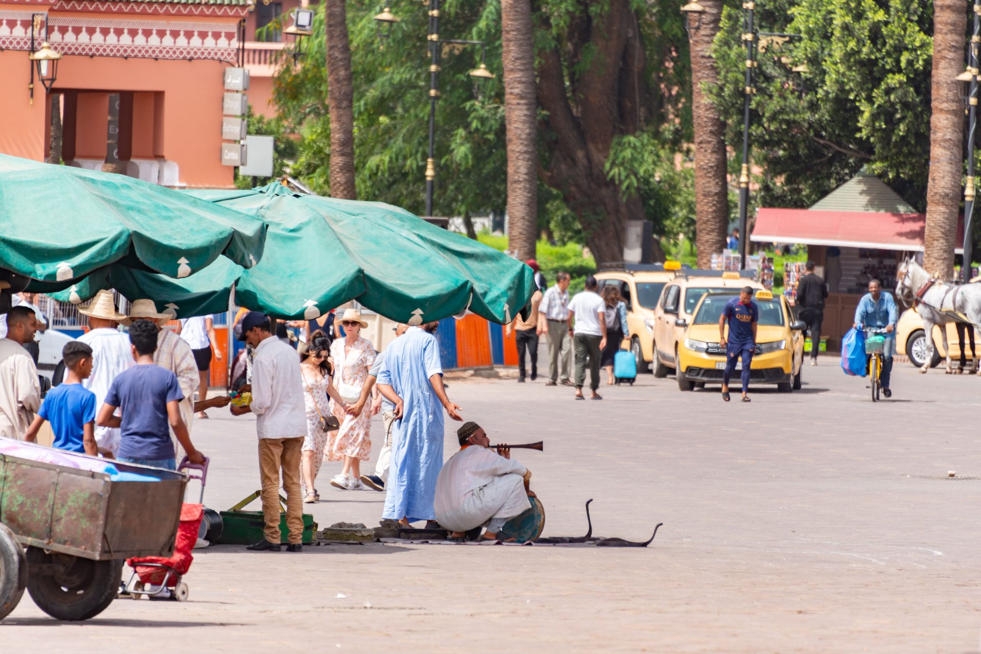 Morocco Family Holiday: Marrakech or Agadir, Age by Age